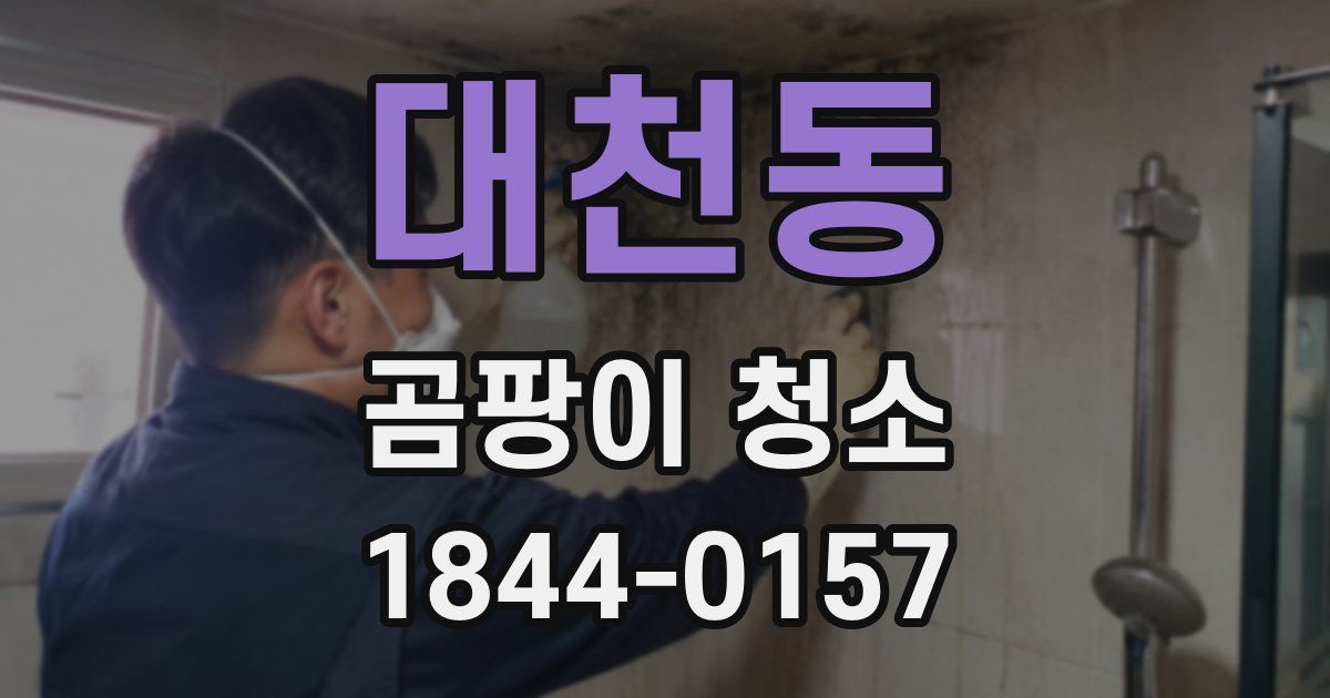 대천동 곰팡이 청소
