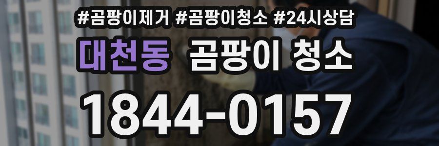 대천동 곰팡이 청소