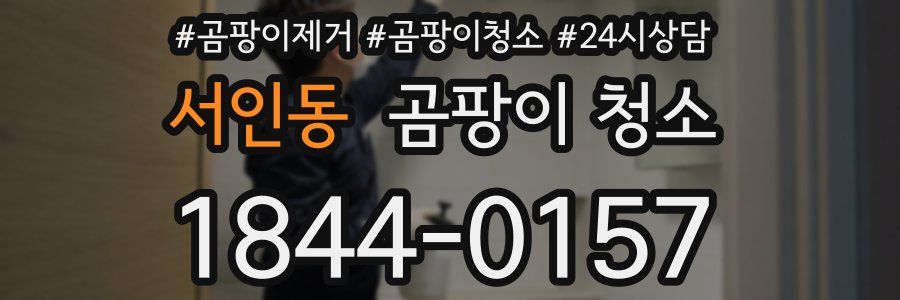 서인동 곰팡이 청소