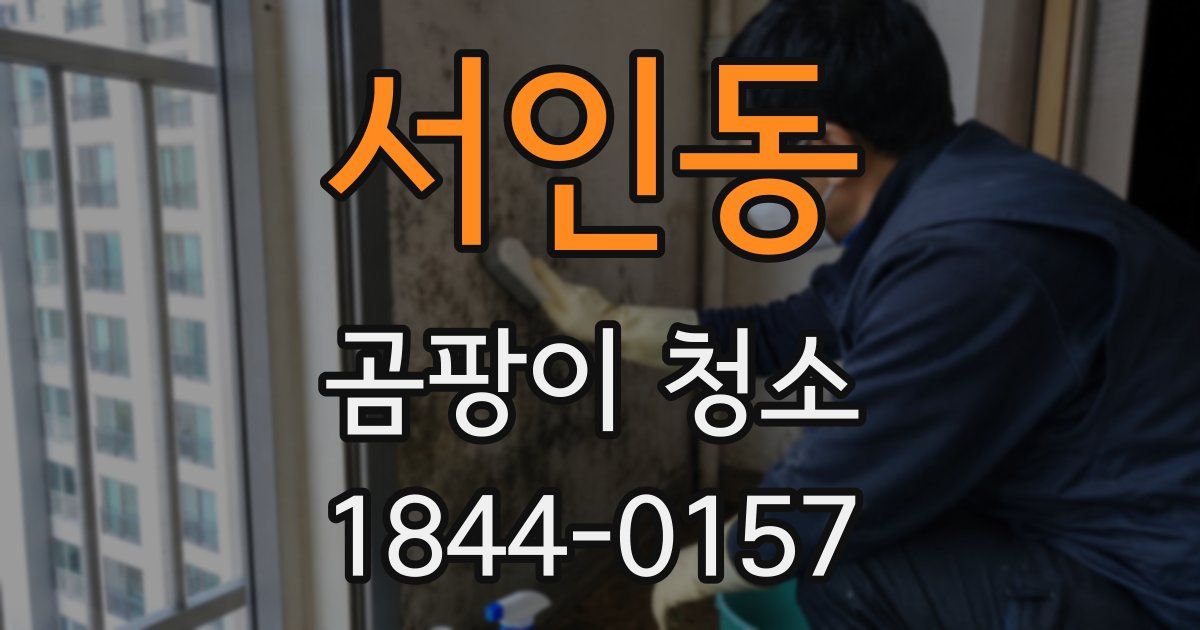 서인동 곰팡이 청소