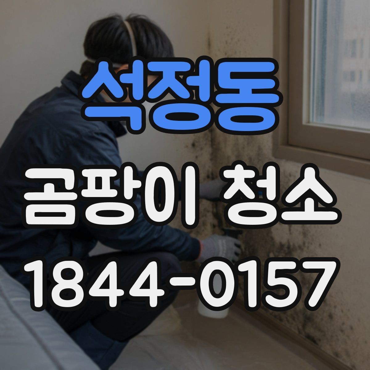 석정동 곰팡이 청소 음식물 오염과 헷갈릴 때 구분하는 방법