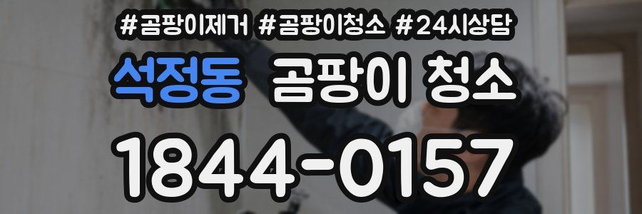 석정동 곰팡이 청소