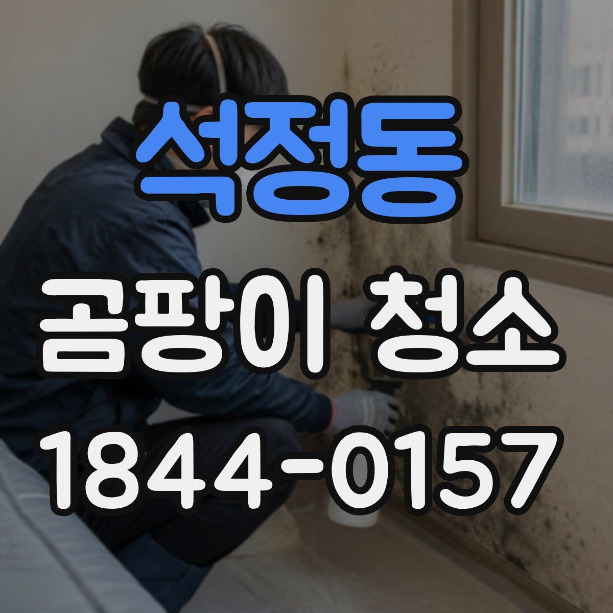 석정동 곰팡이 청소