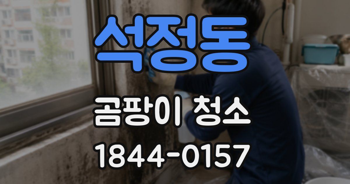 석정동 곰팡이 청소