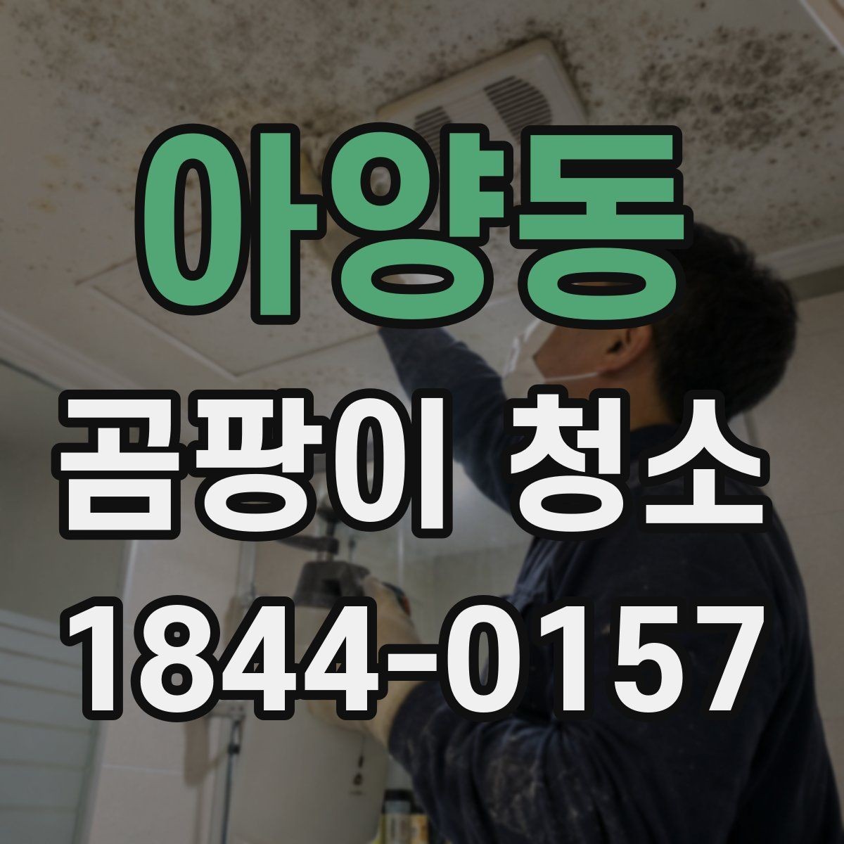 아양동 곰팡이 청소 다시 생기지 않게 돕는 생활습관
