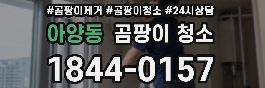 아양동 곰팡이 청소