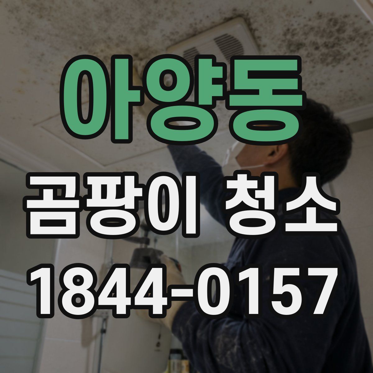 아양동 곰팡이 청소