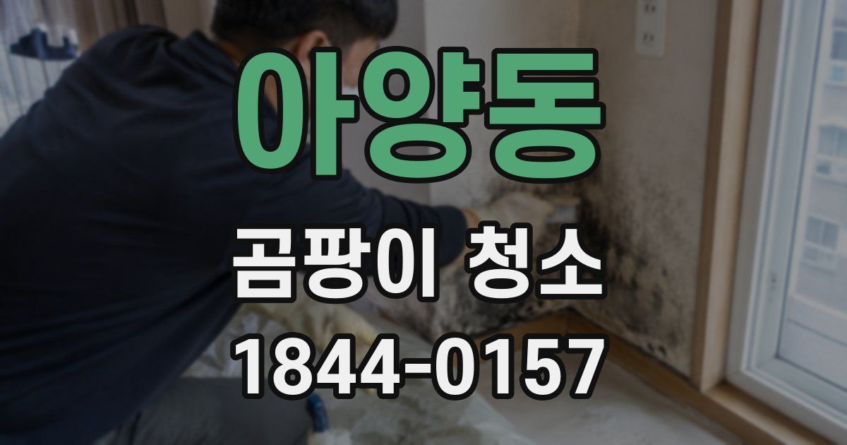 아양동 곰팡이 청소