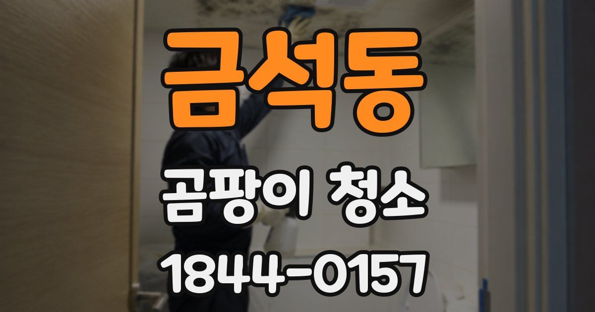 금석동 곰팡이 청소