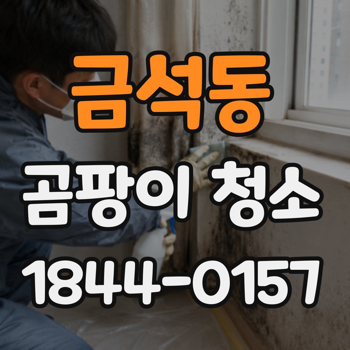 금석동 곰팡이 청소