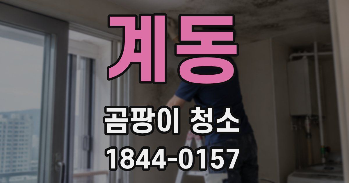 계동 곰팡이 청소