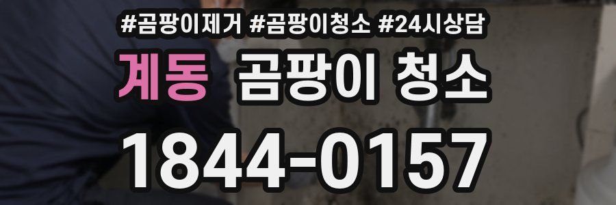 계동 곰팡이 청소