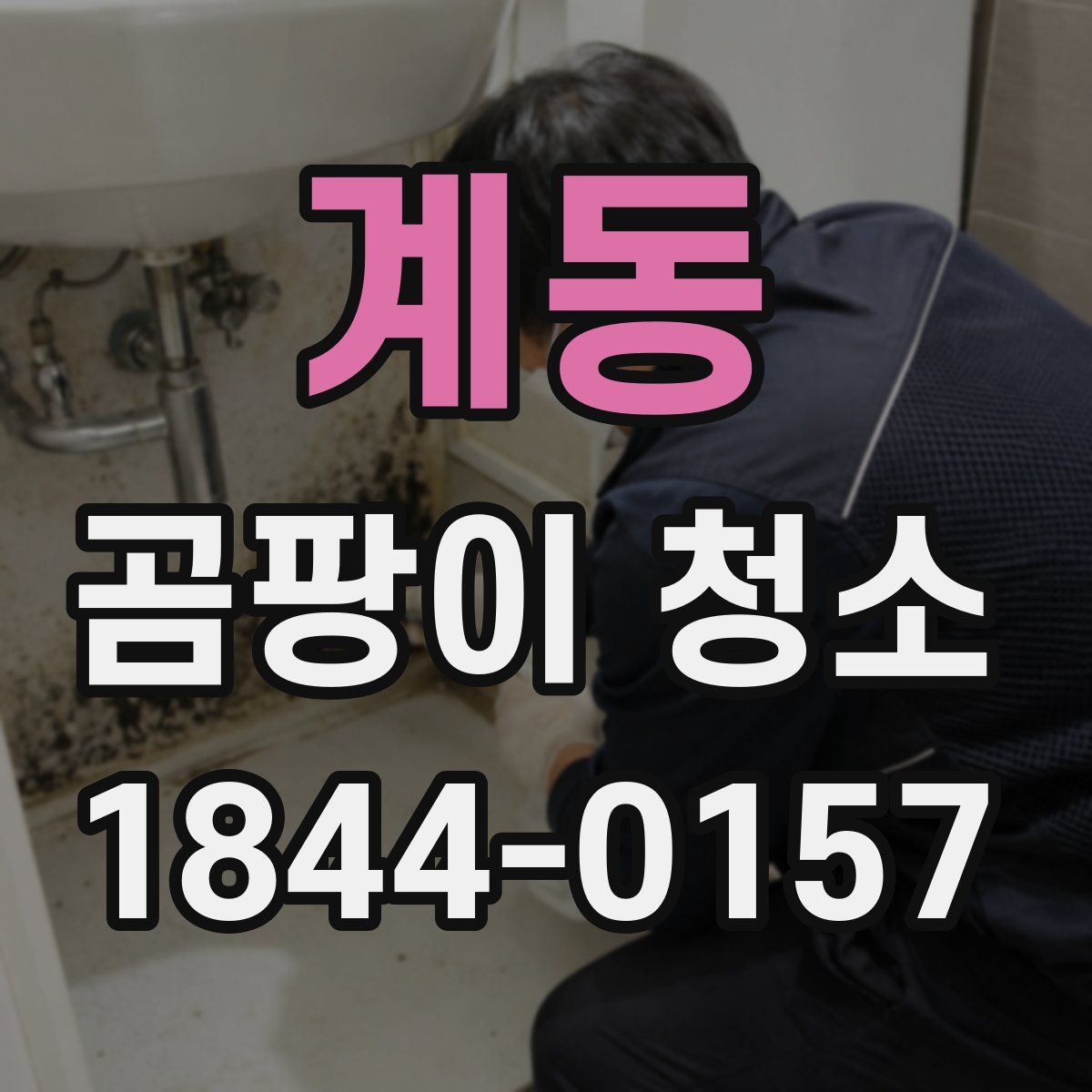 계동 곰팡이 청소