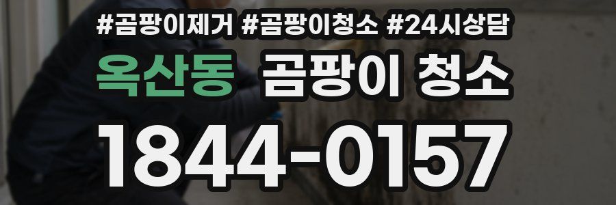 옥산동 곰팡이 청소