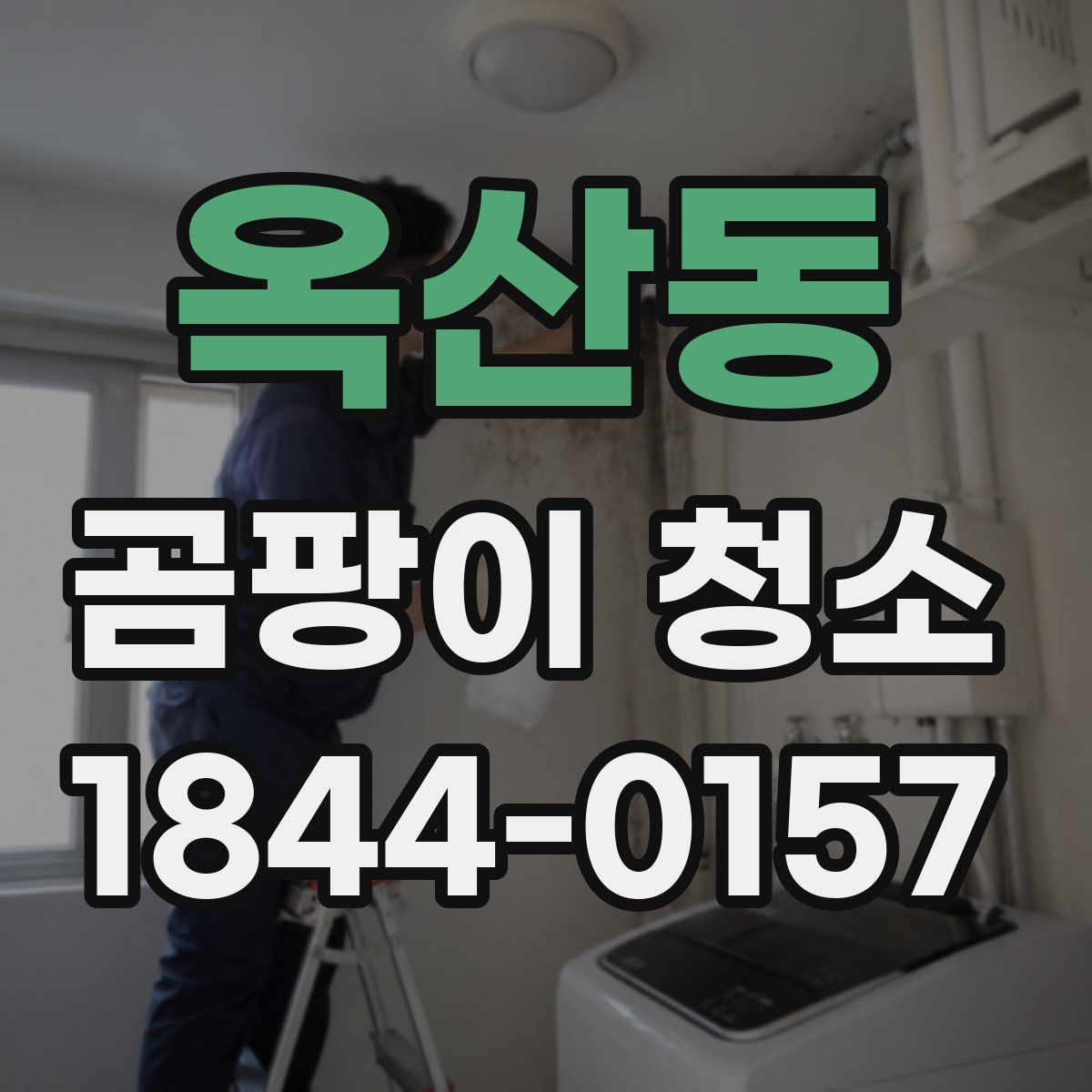 옥산동 곰팡이 청소