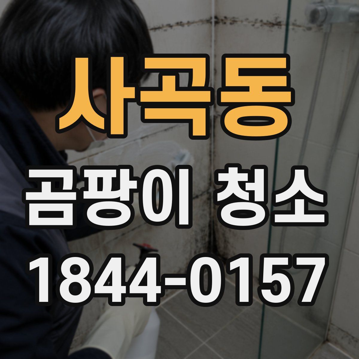 사곡동 곰팡이 청소