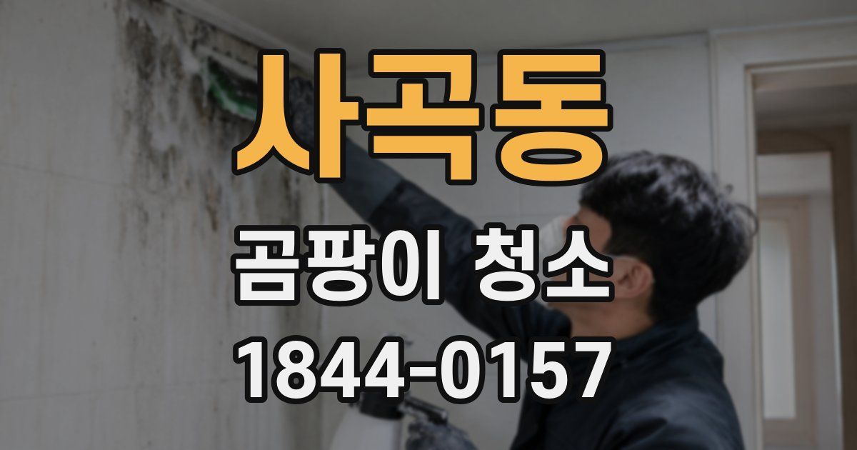 사곡동 곰팡이 청소