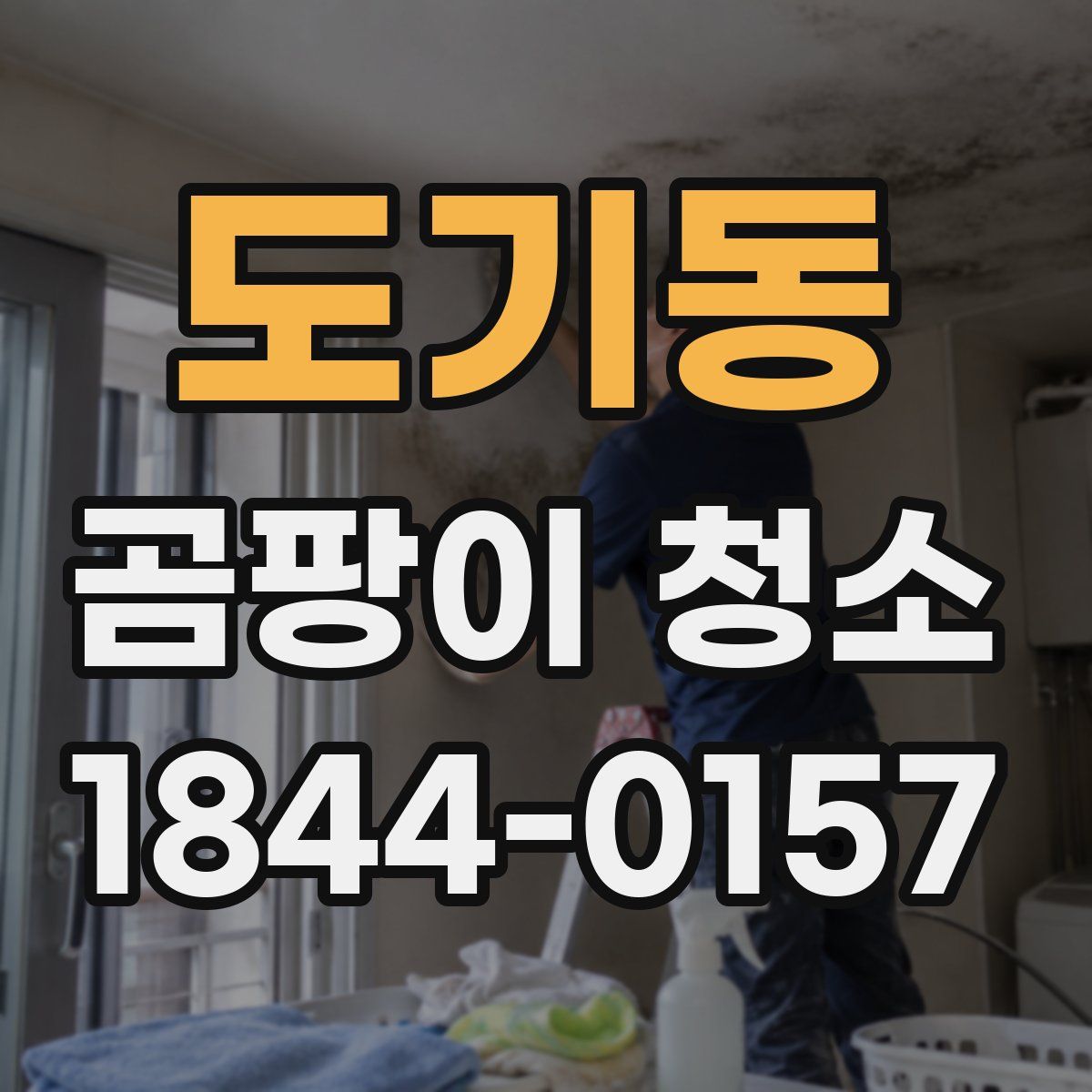 도기동 곰팡이 청소