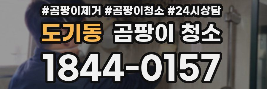 도기동 곰팡이 청소