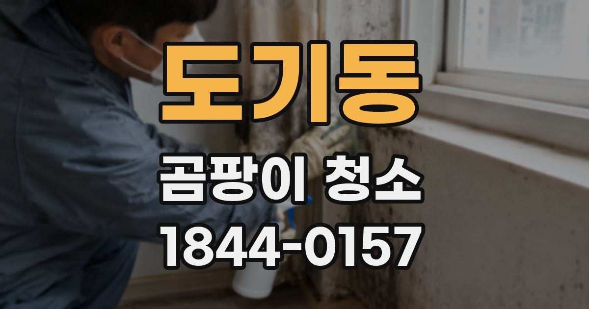 도기동 곰팡이 청소