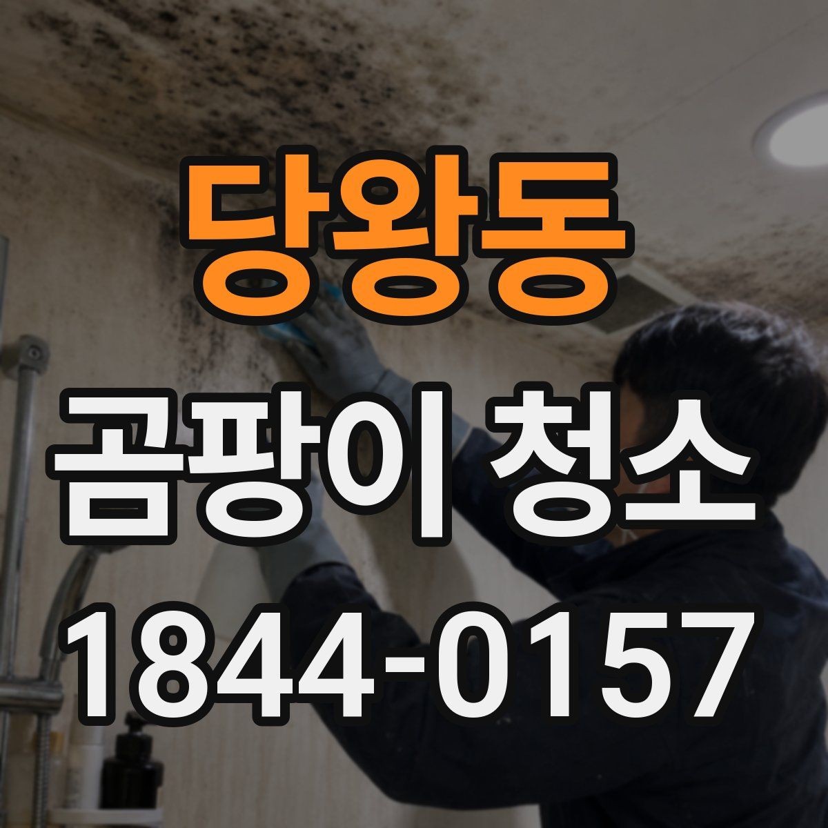 당왕동 곰팡이 청소 냄새와 곰팡이 원인을 함께 살피는 순서
