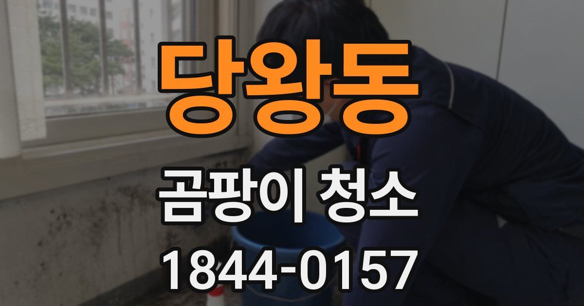 당왕동 곰팡이 청소