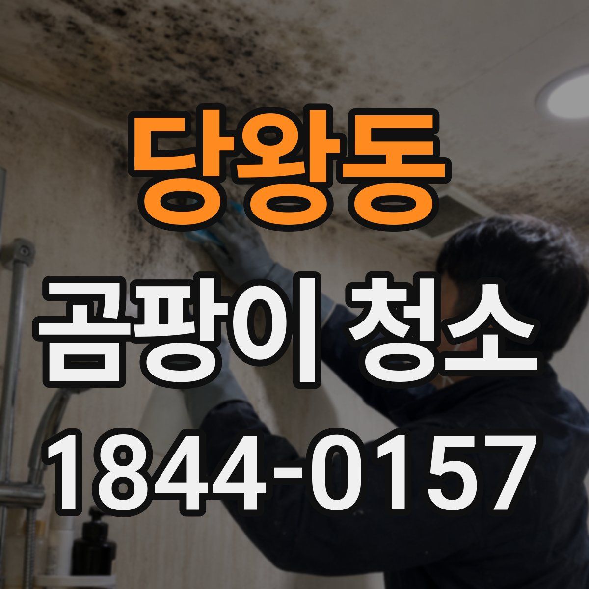 당왕동 곰팡이 청소
