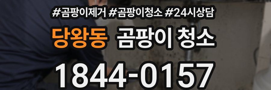 당왕동 곰팡이 청소