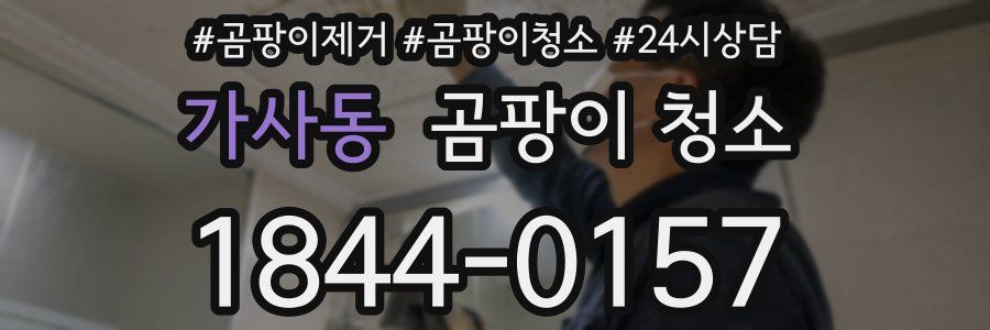 가사동 곰팡이 청소
