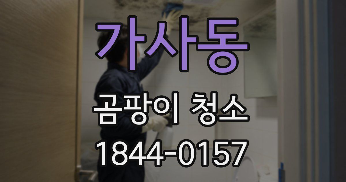 가사동 곰팡이 청소