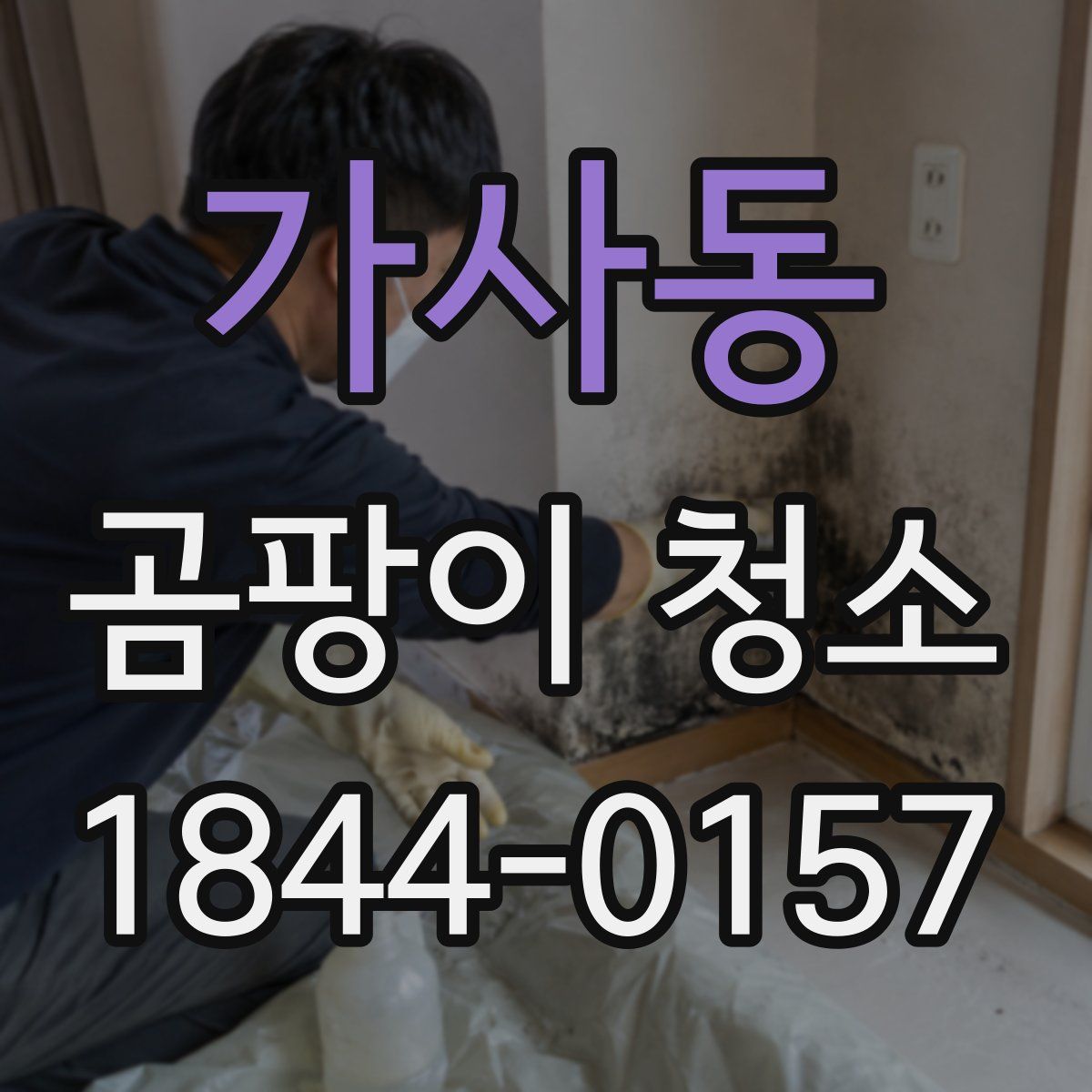가사동 곰팡이 청소