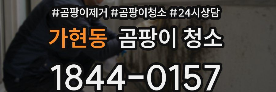가현동 곰팡이 청소