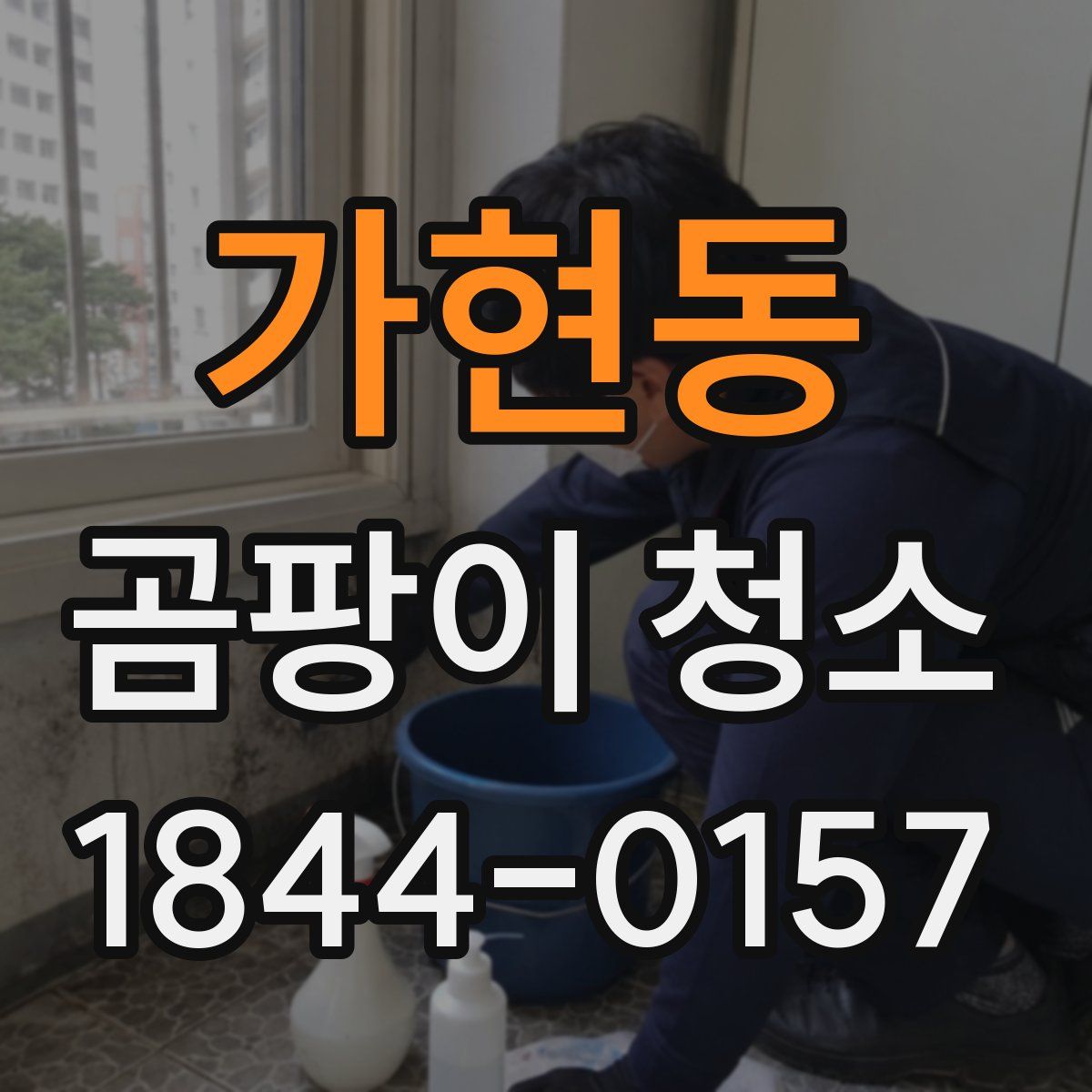 가현동 곰팡이 청소