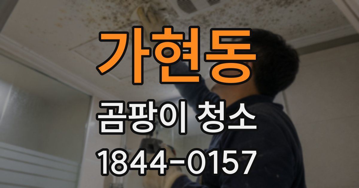 가현동 곰팡이 청소
