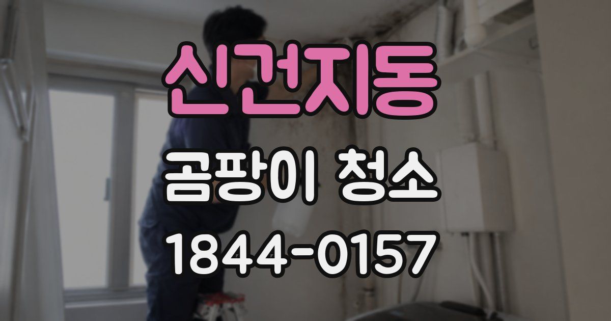 신건지동 곰팡이 청소