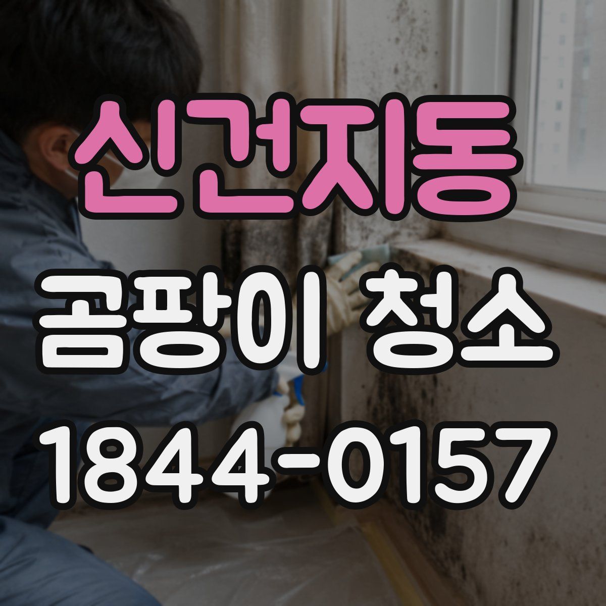 신건지동 곰팡이 청소