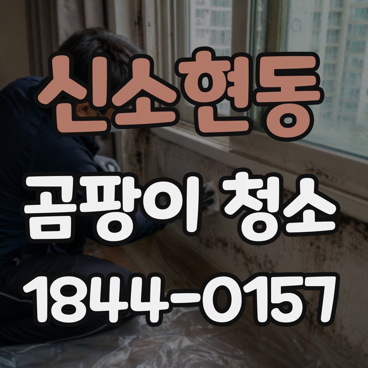 신소현동 곰팡이 청소 세제 고를 때 소재 손상 막는 기준