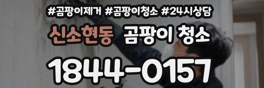 신소현동 곰팡이 청소