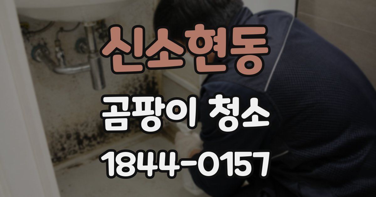 신소현동 곰팡이 청소