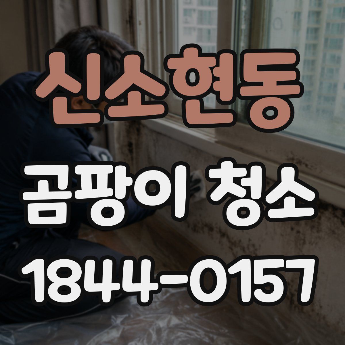 신소현동 곰팡이 청소