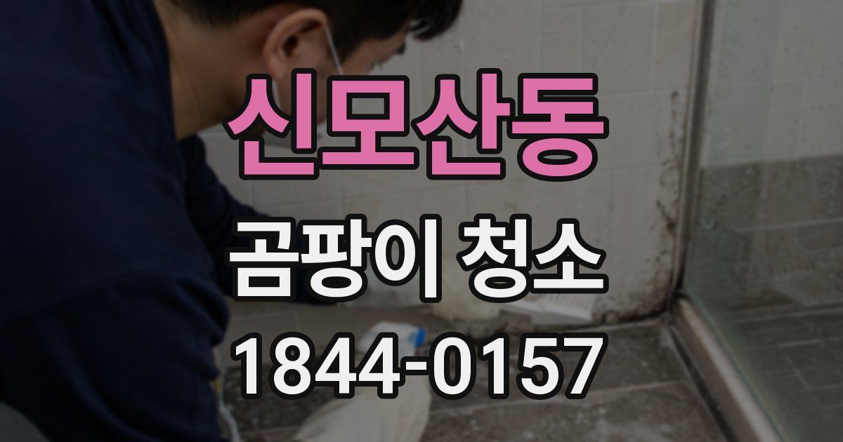신모산동 곰팡이 청소