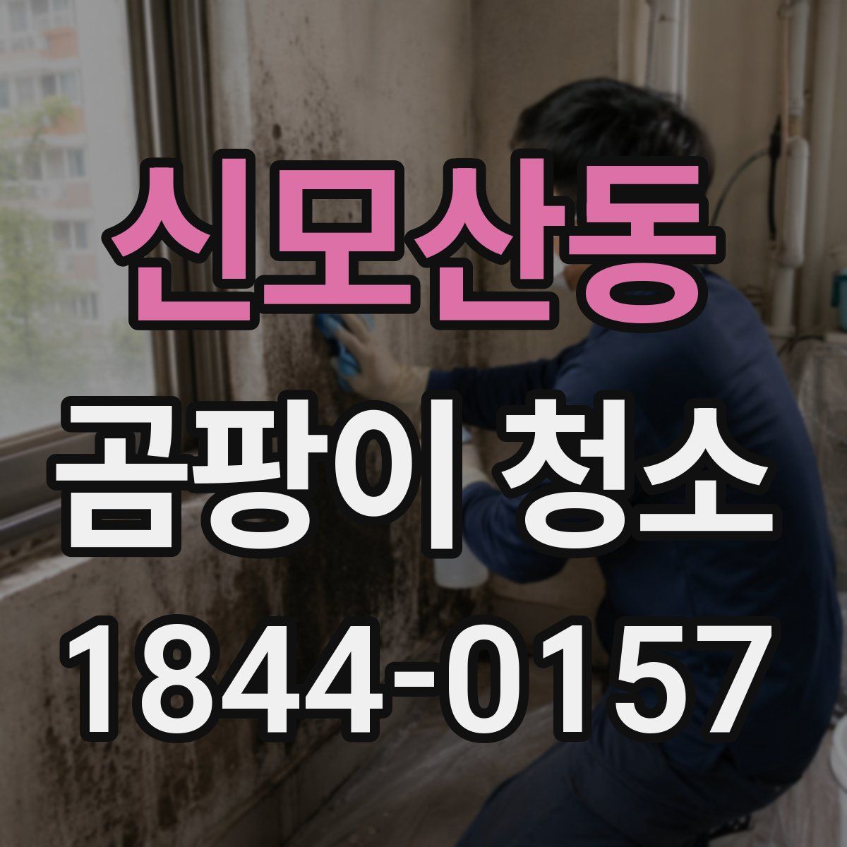 신모산동 곰팡이 청소