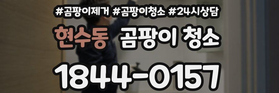 현수동 곰팡이 청소