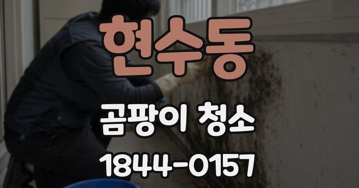 현수동 곰팡이 청소