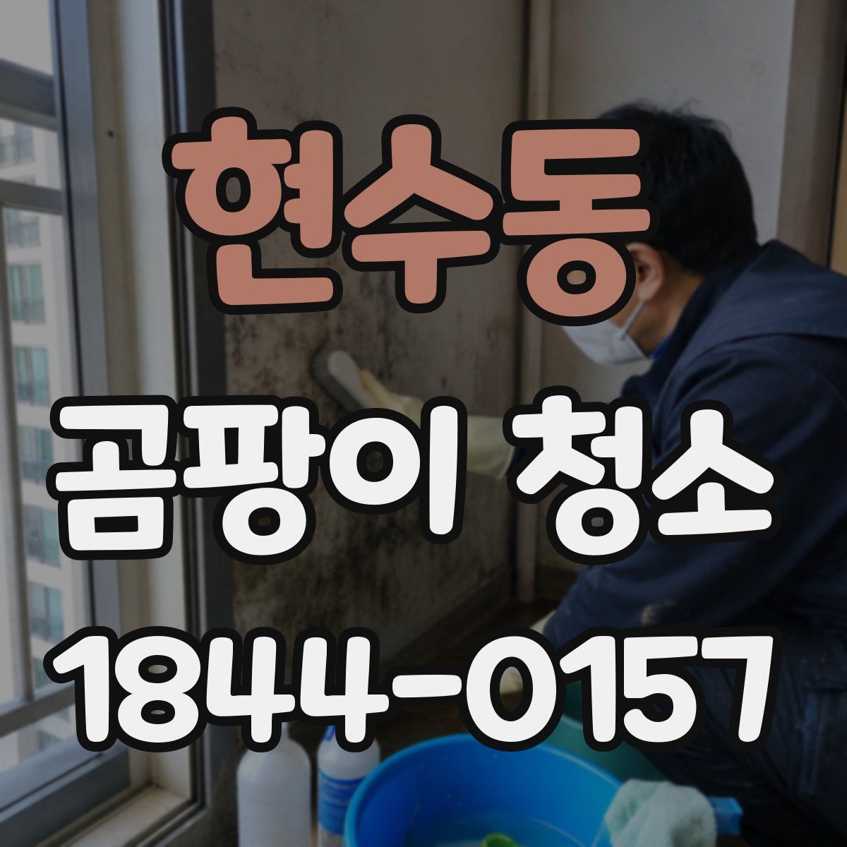 현수동 곰팡이 청소