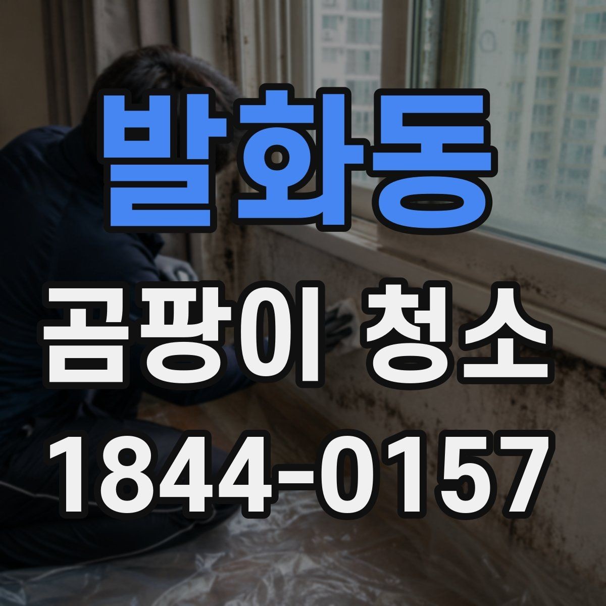 발화동 곰팡이 청소 욕실 천장 얼룩을 안전하게 처리하는 순서