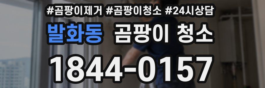 발화동 곰팡이 청소