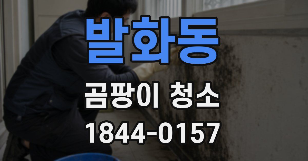 발화동 곰팡이 청소