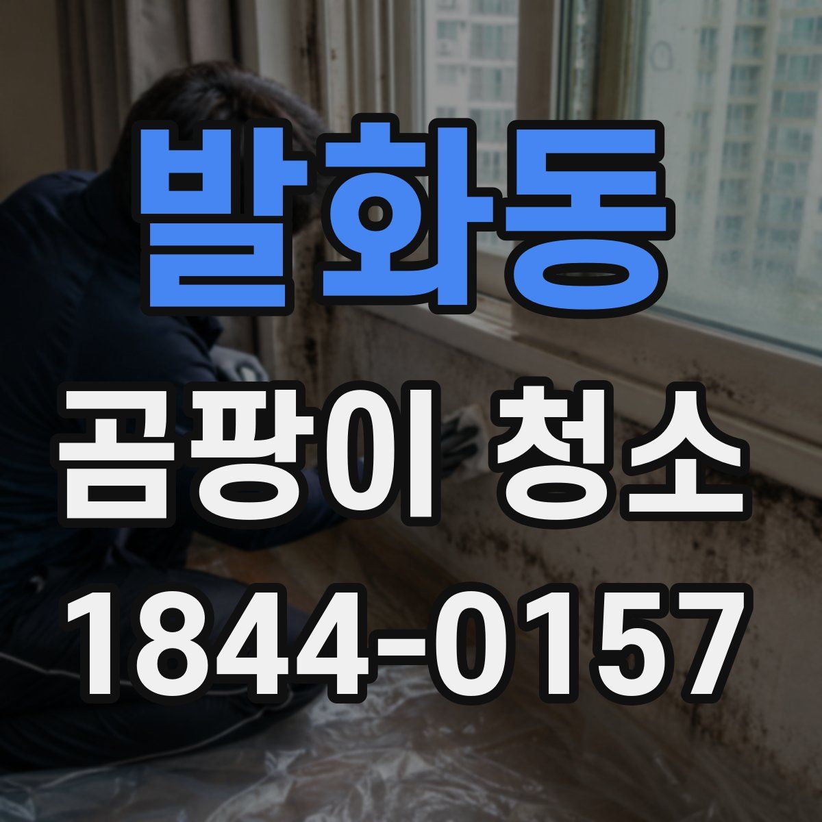 발화동 곰팡이 청소