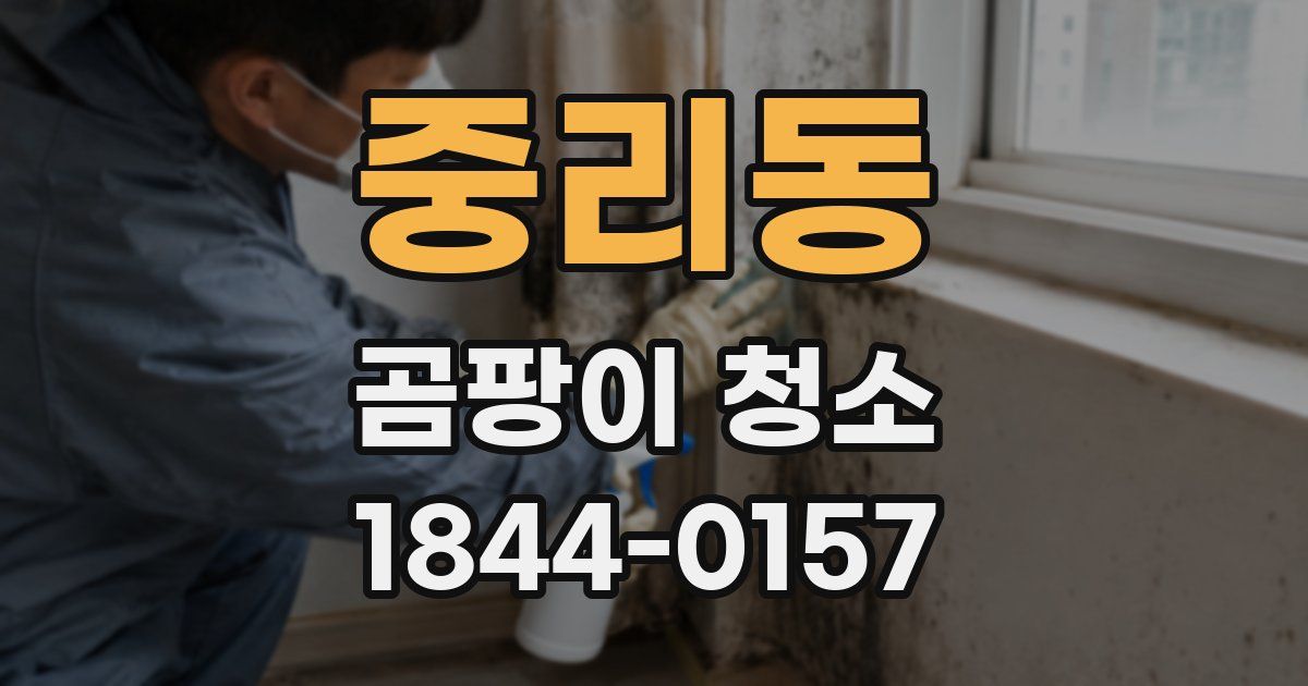 중리동 곰팡이 청소